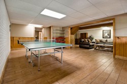 Lower level recreational area with ping pong table and dart board